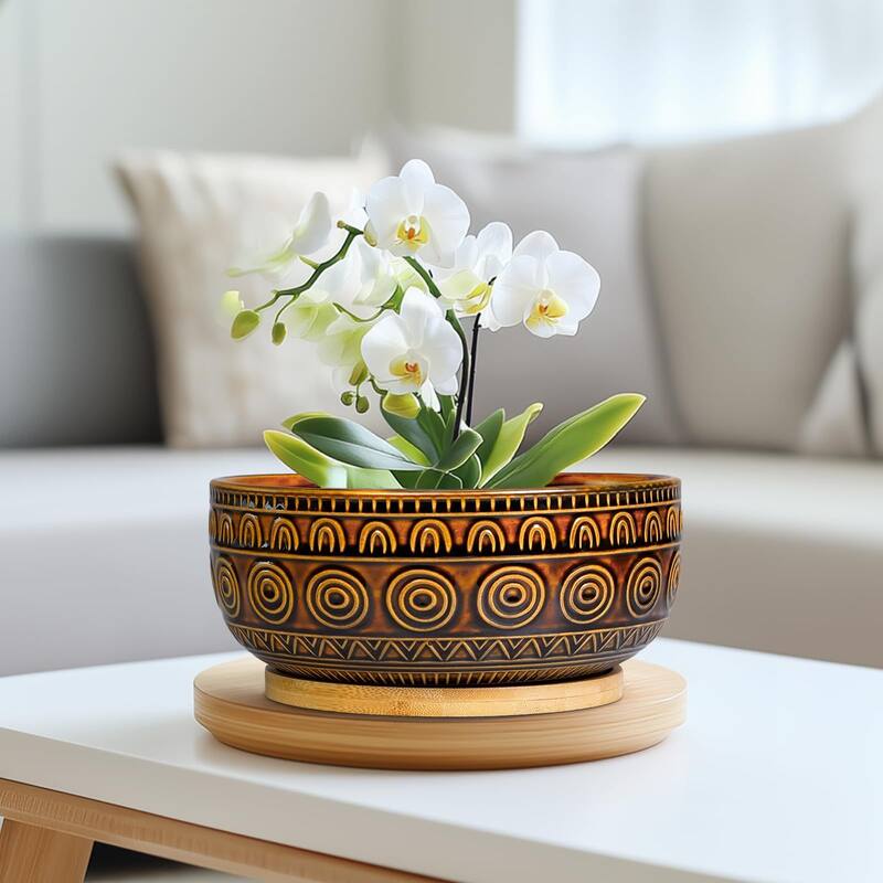 Vasos de bonsai de cerâmica Eightpot 20cm com pires para plantas